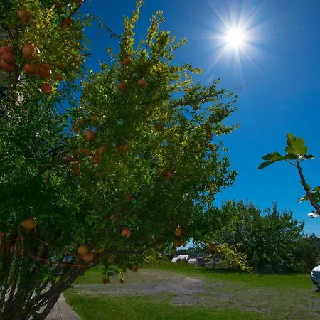 Rasic Апартаменты