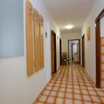 Rasic Appartamento