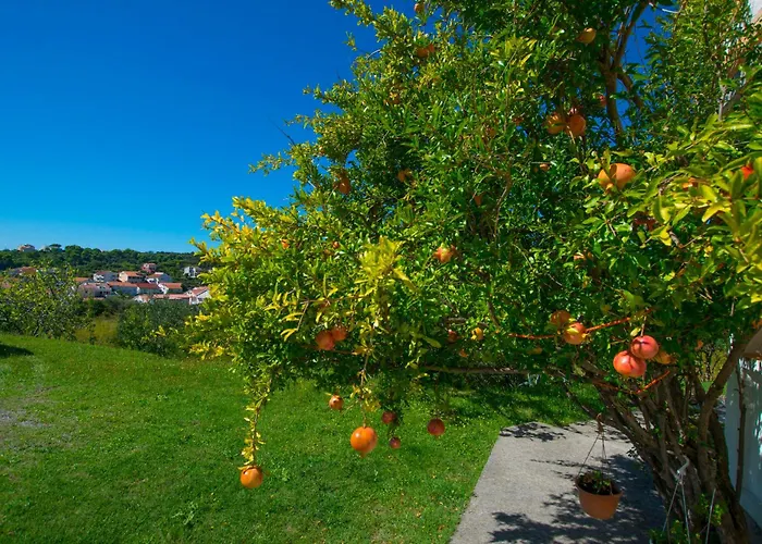 Apartman Rasic *