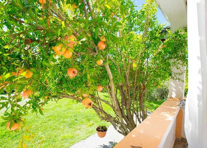 Apartman Rasic